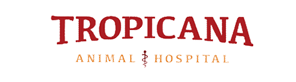 Tropicana Animal Hospital